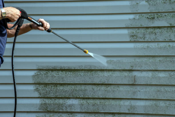 Reliable Haleyville, AL Pressure Washing Services Solutions
