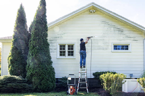 Best Solar Panel Cleaning  in Heyville, AL
